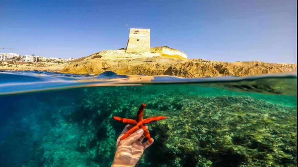 Sun Sea Living Gozo *